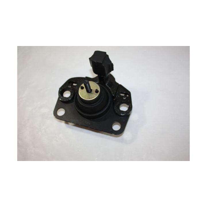 Variklio montavimas AUTOMEGA 130075610