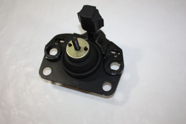 Variklio montavimas AUTOMEGA 130075610