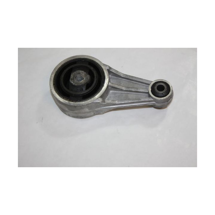 Variklio montavimas AUTOMEGA 130076010