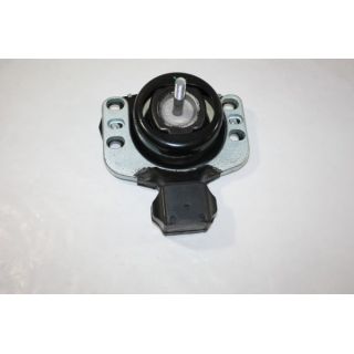 Variklio montavimas AUTOMEGA 130077610