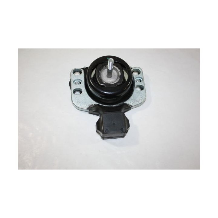 Variklio montavimas AUTOMEGA 130077610