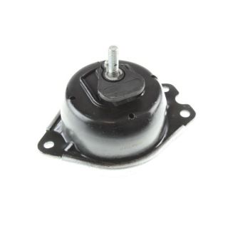 Variklio montavimas AUTOMEGA 130078010