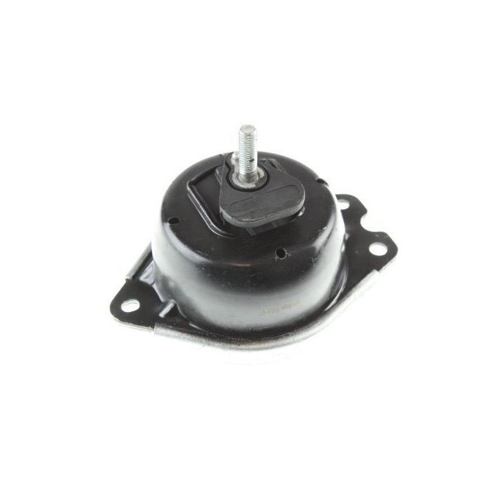 Variklio montavimas AUTOMEGA 130078010