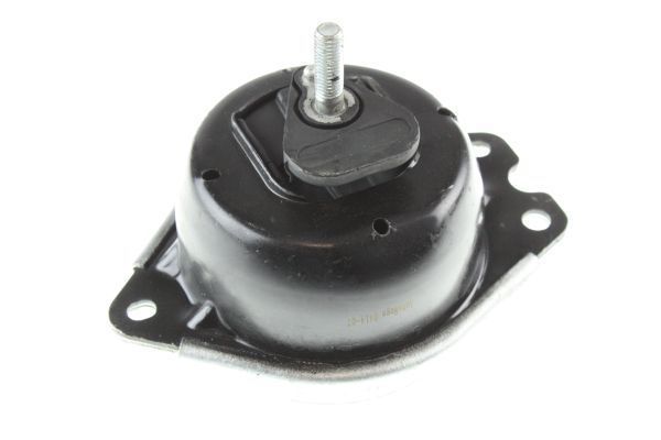 Variklio montavimas AUTOMEGA 130078010