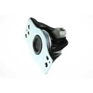 Variklio montavimas AUTOMEGA 130078810