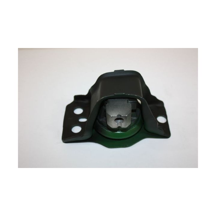 Variklio montavimas AUTOMEGA 130078810