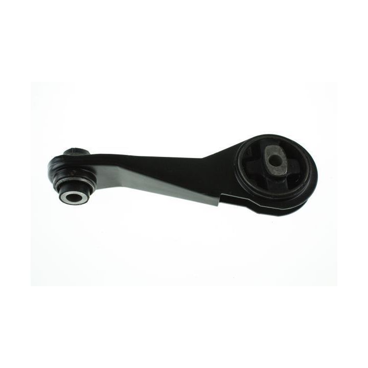 Variklio montavimas AUTOMEGA 130079010