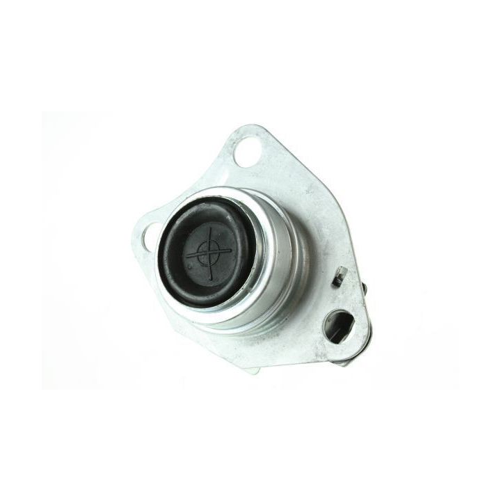 Variklio montavimas AUTOMEGA 130079710