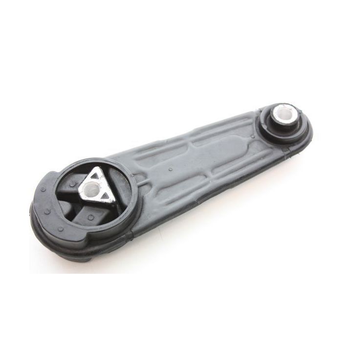 Variklio montavimas AUTOMEGA 130079810