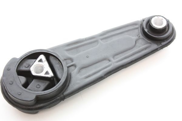 Variklio montavimas AUTOMEGA 130079810