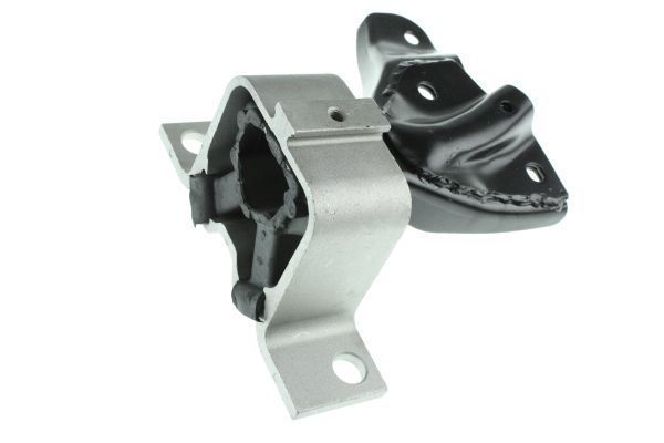 Variklio montavimas AUTOMEGA 130083010