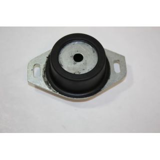 Variklio montavimas AUTOMEGA 130087610