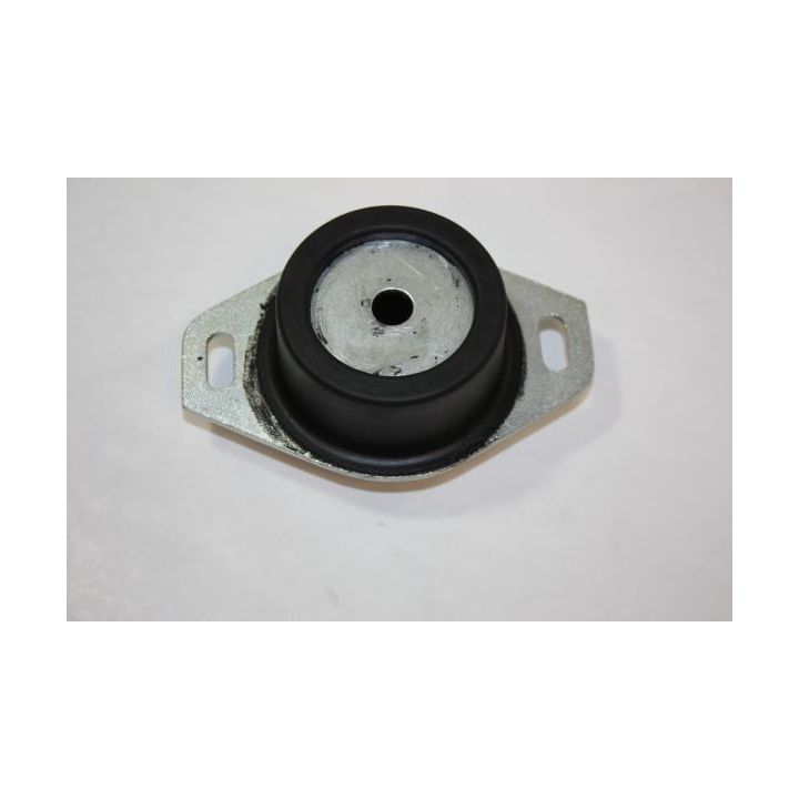 Variklio montavimas AUTOMEGA 130087610