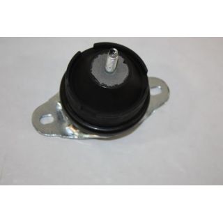 Variklio montavimas AUTOMEGA 130089410