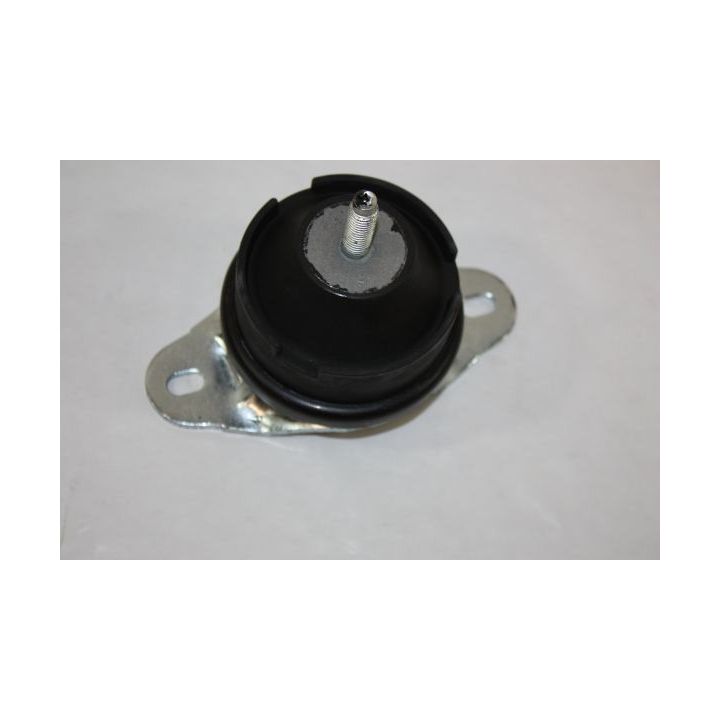 Variklio montavimas AUTOMEGA 130089410