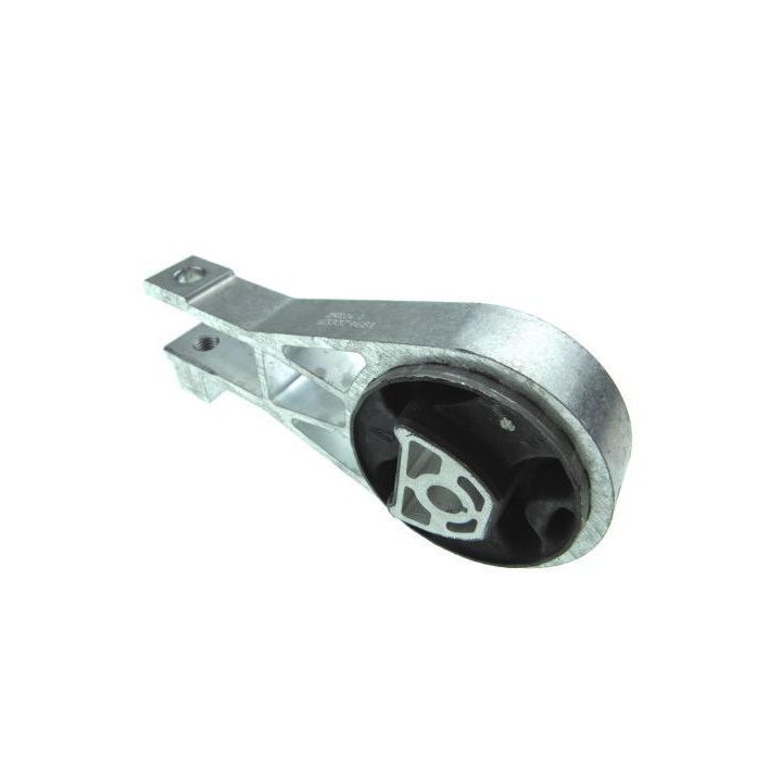 Variklio montavimas AUTOMEGA 130125410