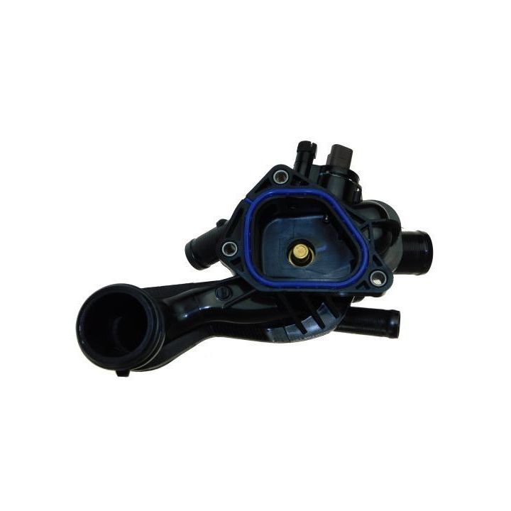 Termostatas, aušinimo skystis AUTOMEGA 160086610