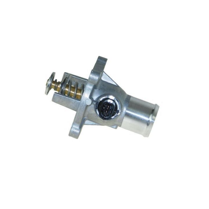 Termostatas, aušinimo skystis AUTOMEGA 160089010