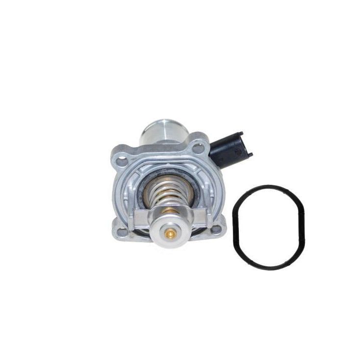 Termostatas, aušinimo skystis AUTOMEGA 160089010