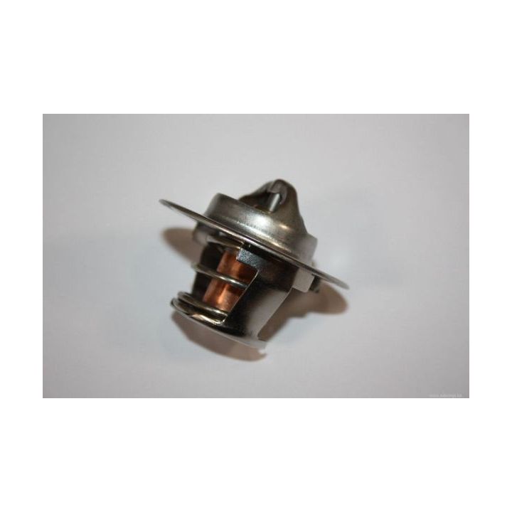 Termostatas, aušinimo skystis AUTOMEGA 160099810
