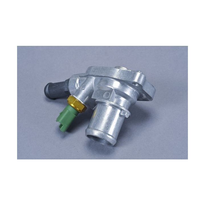 Termostatas, aušinimo skystis AUTOMEGA 160110310