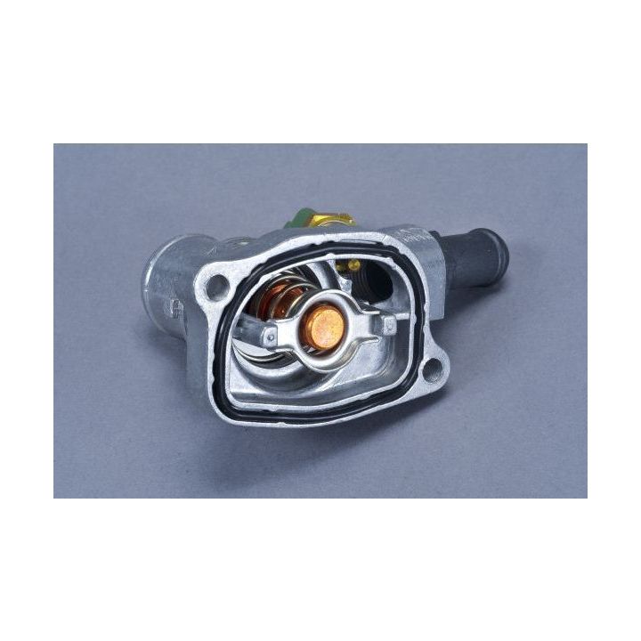 Termostatas, aušinimo skystis AUTOMEGA 160110310