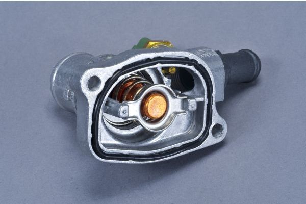 Termostatas, aušinimo skystis AUTOMEGA 160110310