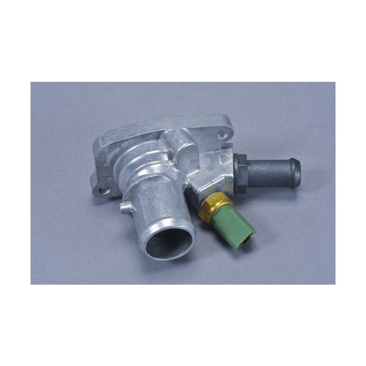 Termostatas, aušinimo skystis AUTOMEGA 160110310