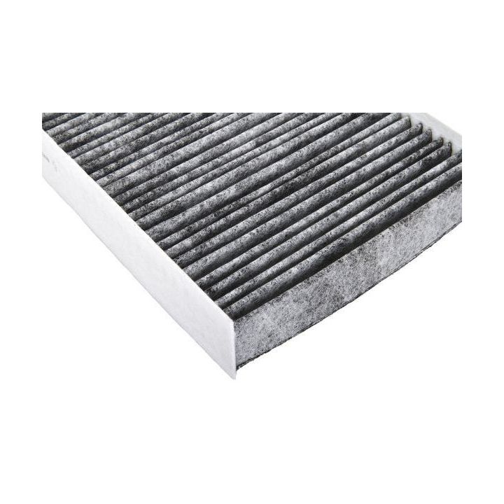 Filtras, salono oras AUTOMEGA 180006110