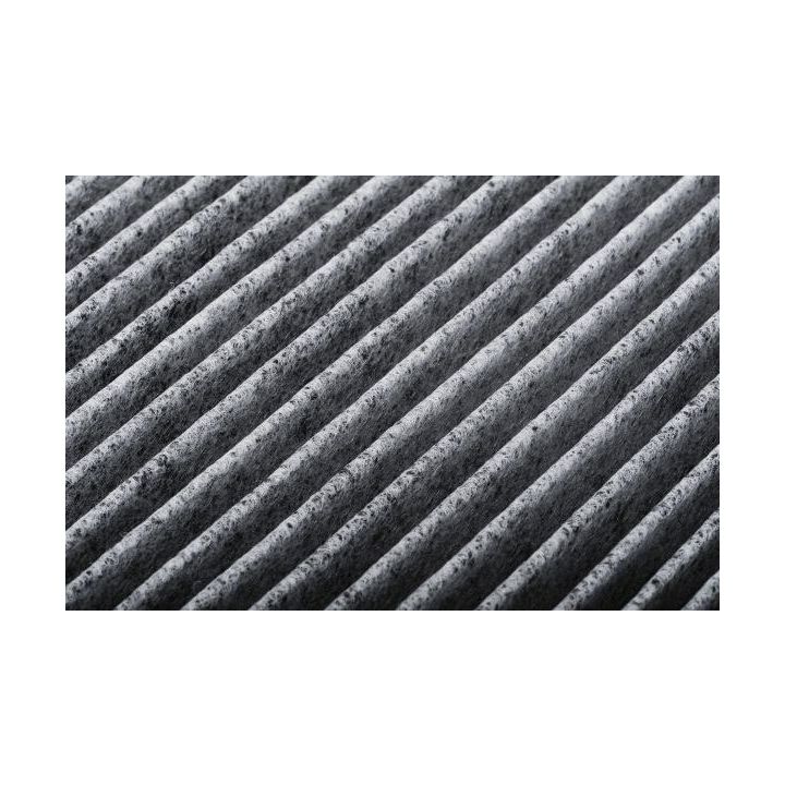 Filtras, salono oras AUTOMEGA 180006110