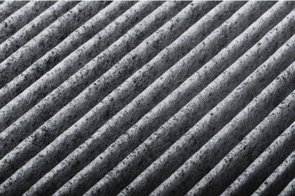 Filtras, salono oras AUTOMEGA 180006110