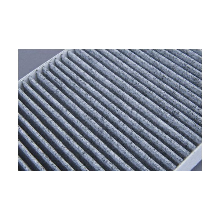 Filtras, salono oras AUTOMEGA 180051110