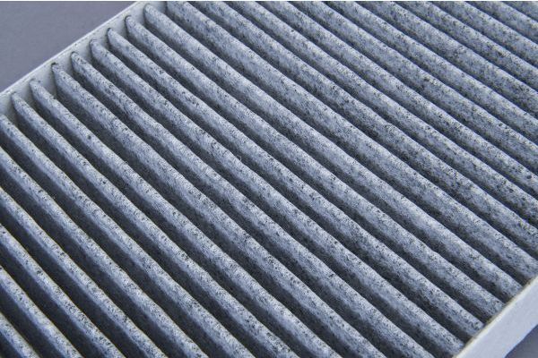 Filtras, salono oras AUTOMEGA 180051110