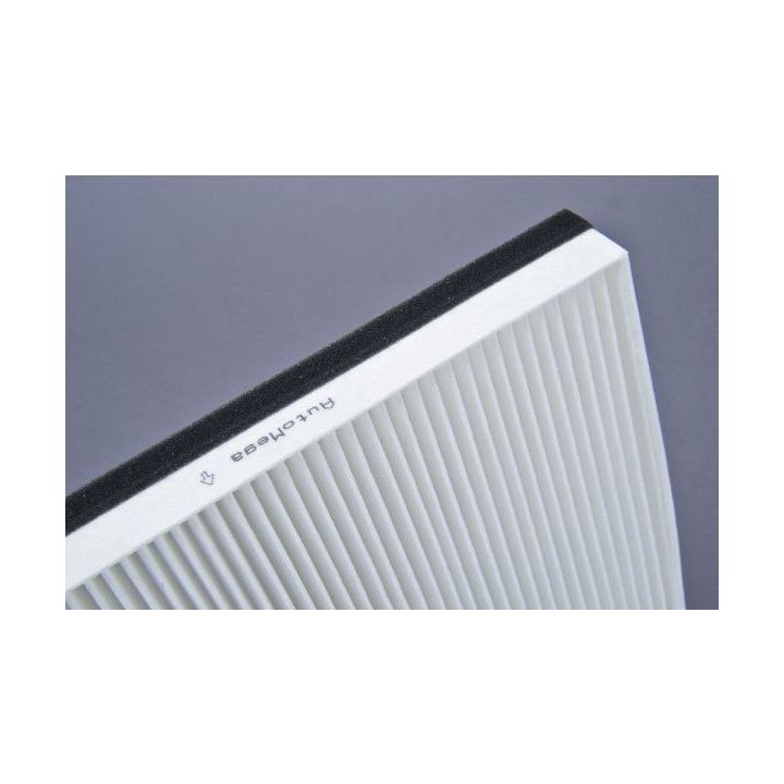 Filtras, salono oras AUTOMEGA 180064210