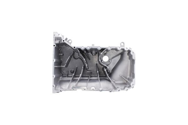 Alyvos karteris AUTOMEGA 274674110