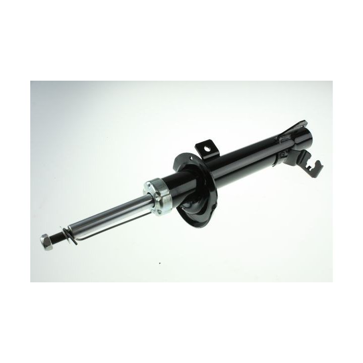 Amortizatorius AUTOMEGA 110012710