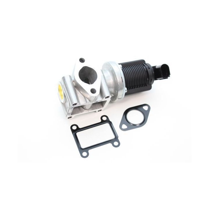 ERG vožtuvas AUTOMEGA 140024310