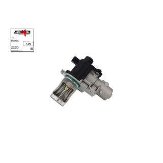 ERG vožtuvas AUTOMEGA 250720610