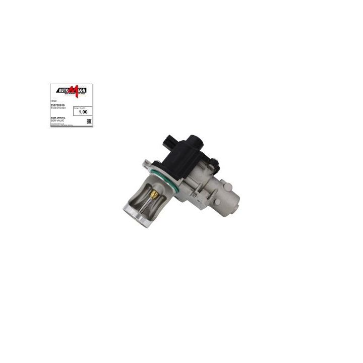 ERG vožtuvas AUTOMEGA 250720610