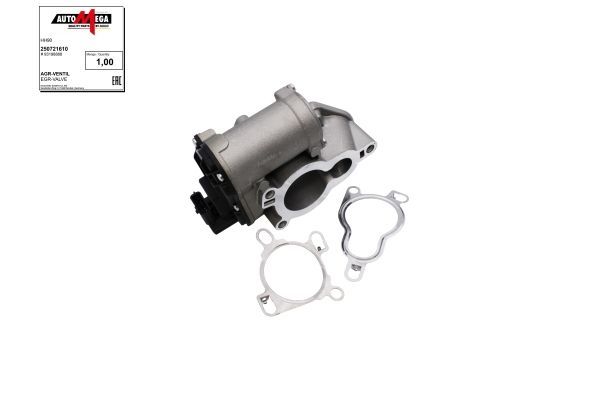 ERG vožtuvas AUTOMEGA 250721610