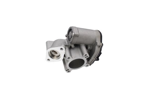 ERG vožtuvas AUTOMEGA 250721610