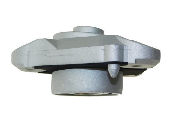 Pakabos statramsčio atraminis guolis AUTOMEGA 110142410