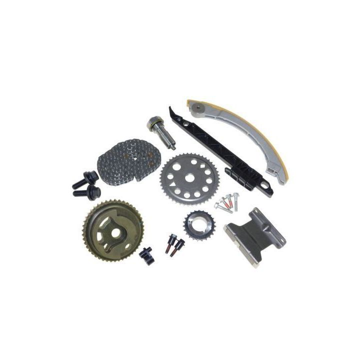 Paskirstymo grandinės komplektas AUTOMEGA 130008710