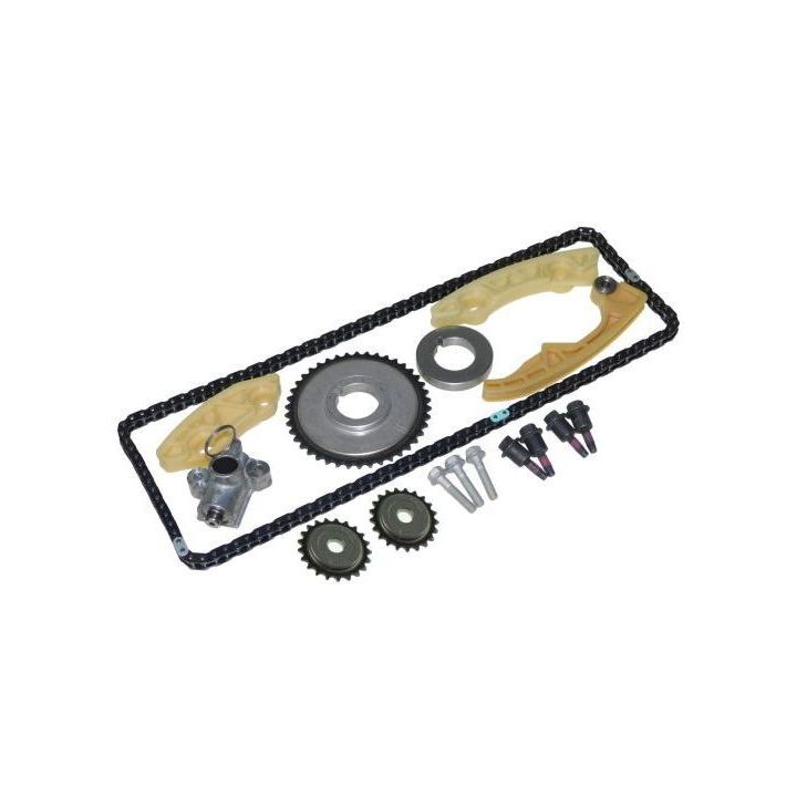 Paskirstymo grandinės komplektas AUTOMEGA 130130710