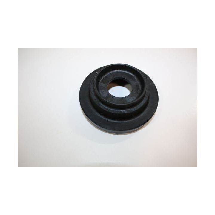 Frikcinis guolis, pakabos statramsčio atramos montavimas AUTOMEGA 110020510