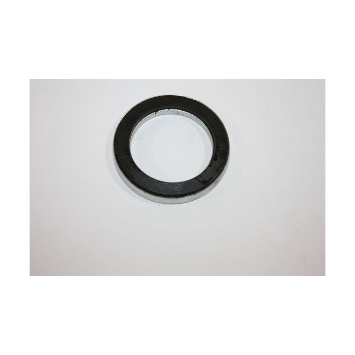 Frikcinis guolis, pakabos statramsčio atramos montavimas AUTOMEGA 110132510