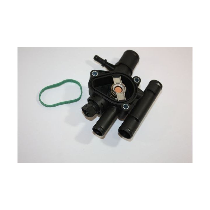 Termostato korpusas AUTOMEGA 160077810