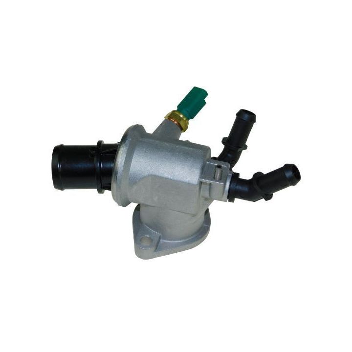 Termostato korpusas AUTOMEGA 160088710