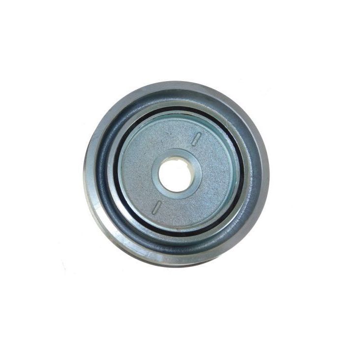 Skriemulys, alkūninis velenas AUTOMEGA 130092010