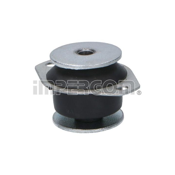 Variklio montavimas ORIGINAL IMPERIUM 2129